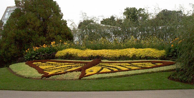 flower butterfly(2).jpg - Flower Garden